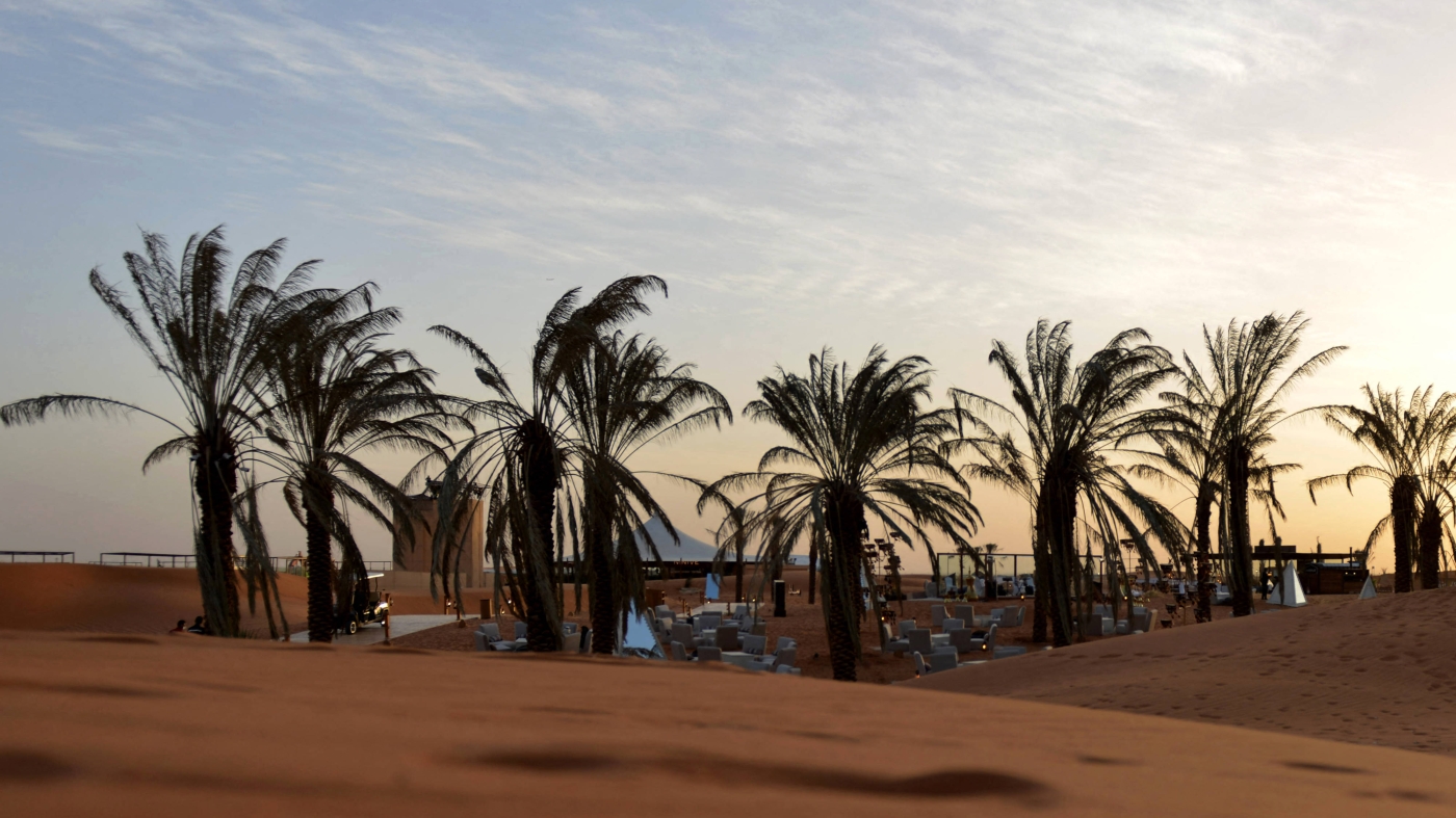 Palm trees amid rolling dunes on the outskirts of the Saudi capital, Riyadh, 1 February 2021 (AFP)