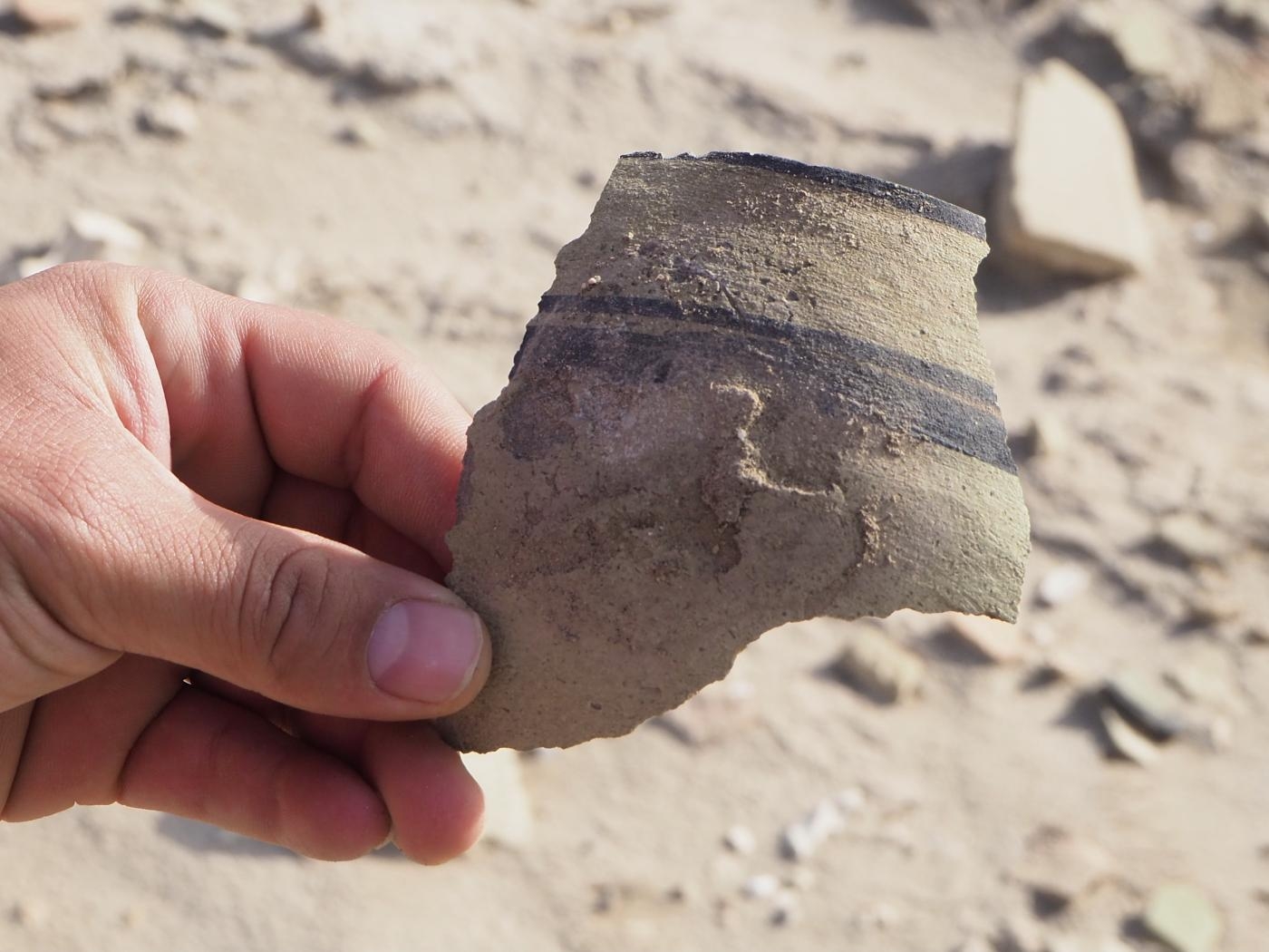 Un tesson de poterie trouvé sur le sol à Eridu (Irak), longtemps considérée comme la première ville de Basse-Mésopotamie (MEE/Tom Westcott)