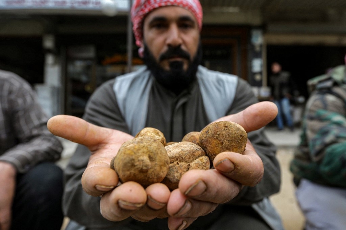 Le kilo de truffes se vend entre cinq et 25 dollars, selon la taille et la qualité, dans un pays où le salaire mensuel moyen est de 18 dollars (AFP/Louai Beshara)