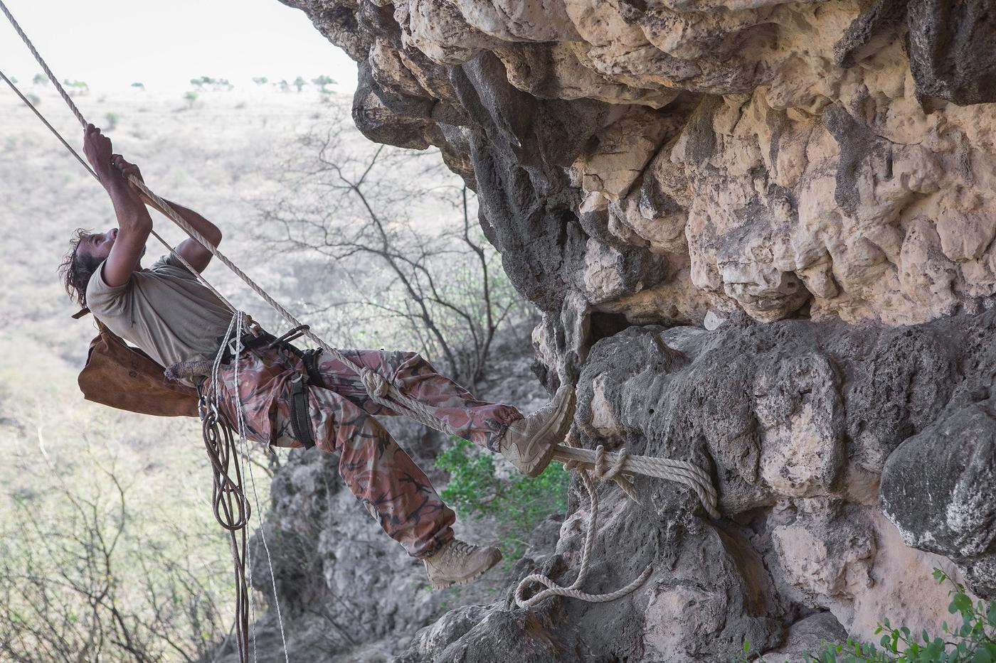 Honey hunter Mohammed Salem Guwas al-Kathery climbs a rocky spur to collect natural hives embedded in the cliff in Wadi Sheer (MEE/Sebastian Castelier)