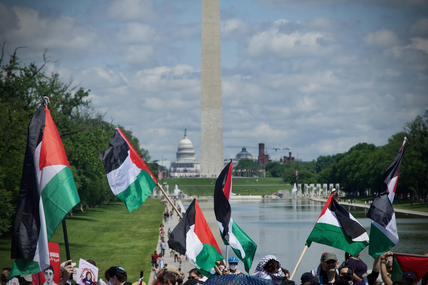Nakba Day in Washington DC