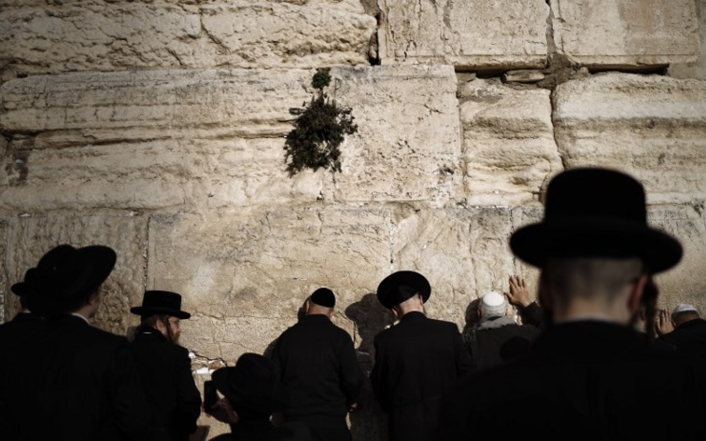 Des juifs ultra-orthodoxes prient devant le Mur des Lamentations à Jérusalem, le 21 janvier (AFP)