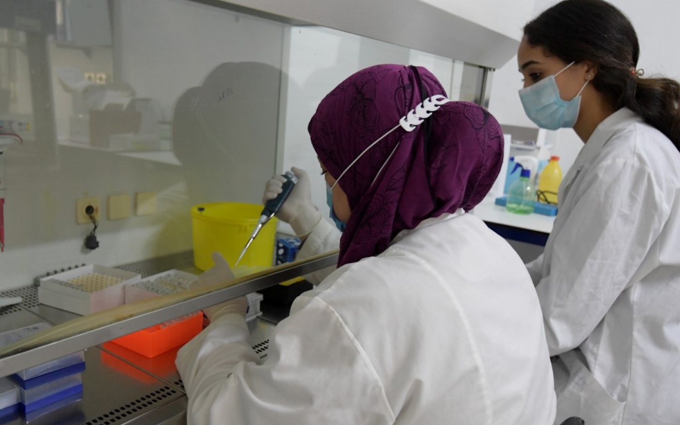 Des employées travaillent sur des échantillons dans un laboratoire à l’Institut Pasteur de Tunis, le 13 janvier 2021 (AFP)
