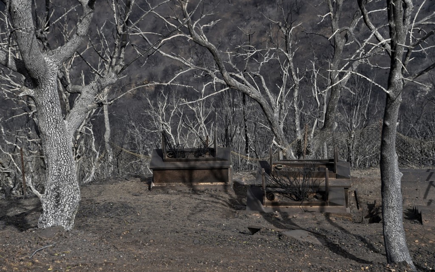 Les incendies de l’été ont ravagé, dans la wilaya de Tizi Ouzou, plus de 25 000 hectares de massifs forestiers (AFP/Ryad Kramdi)