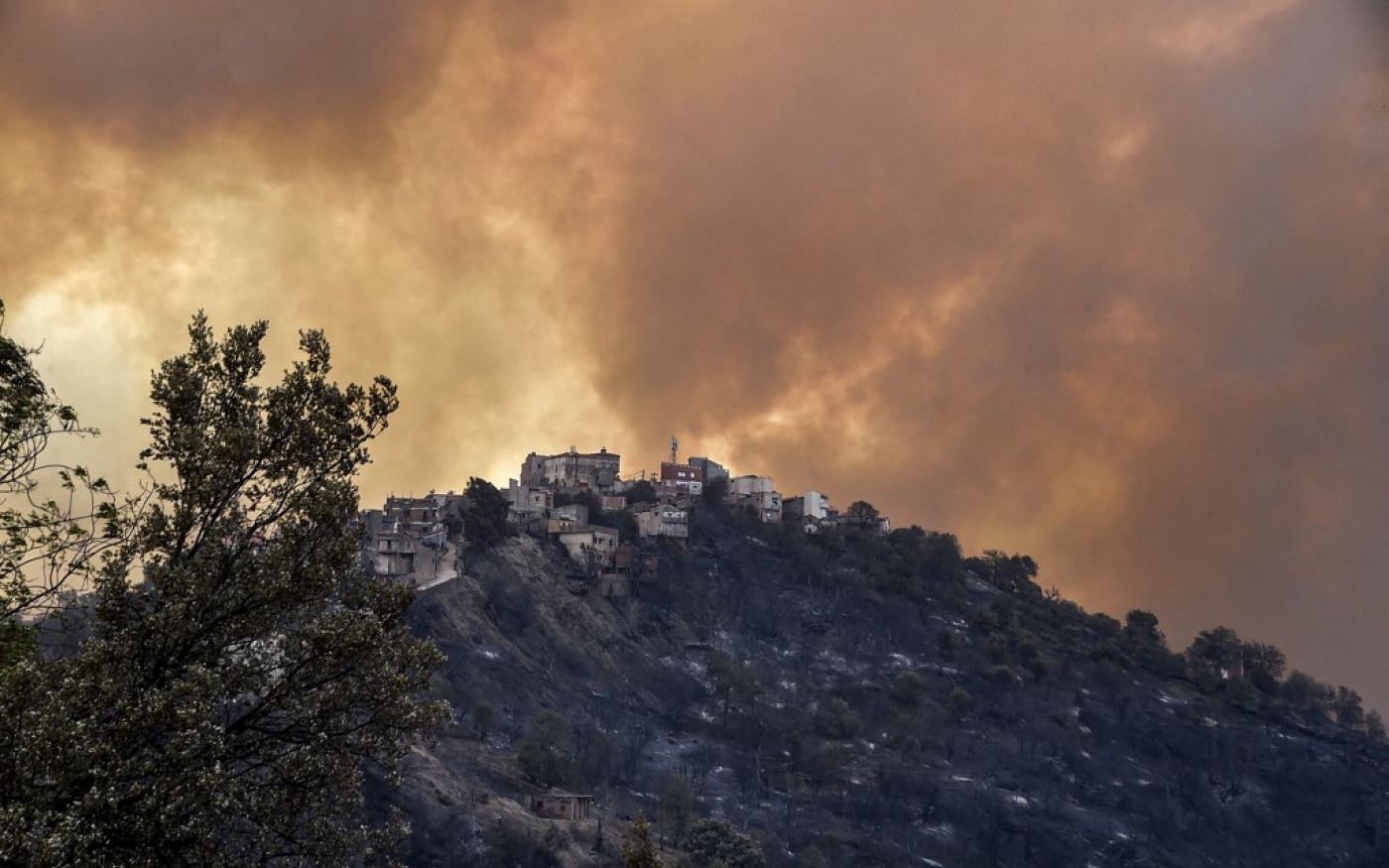 En août, des feux de forêts meurtriers, dont la rapidité de propagation a été en partie attribuée à la sécheresse et à la chaleur, ont dévasté le nord de l’Algérie (AFP/Ryad Kramdi)