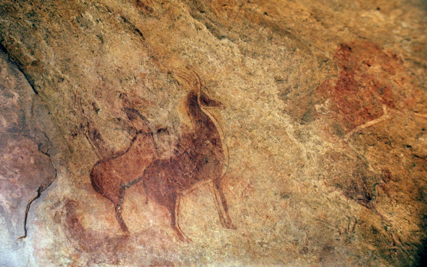 Photo datée de 1976 de peintures rupestres découvertes sur le site du Tassili n’Ajjer, en Algérie (AFP)