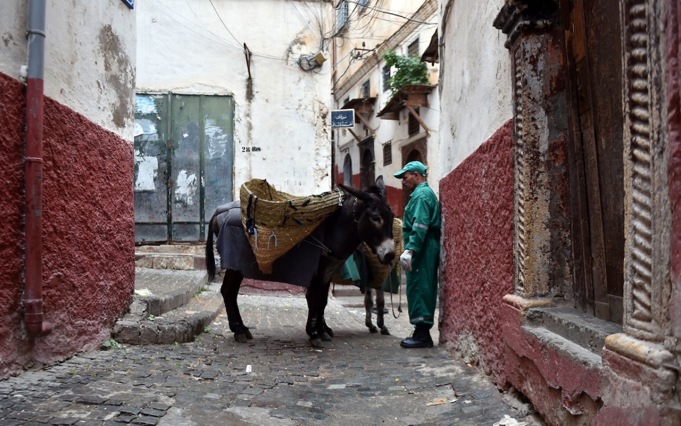 Dans les ruelles escarpées de la Casbah, où les véhicules ne peuvent pas passer, les poubelles sont ramassées par des ânes (AFP/Ryad Kramdi)