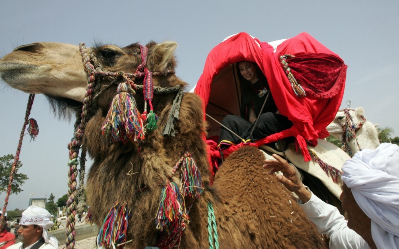 Une jeune nomade algérienne dans la peau d’une mariée (AFP)
