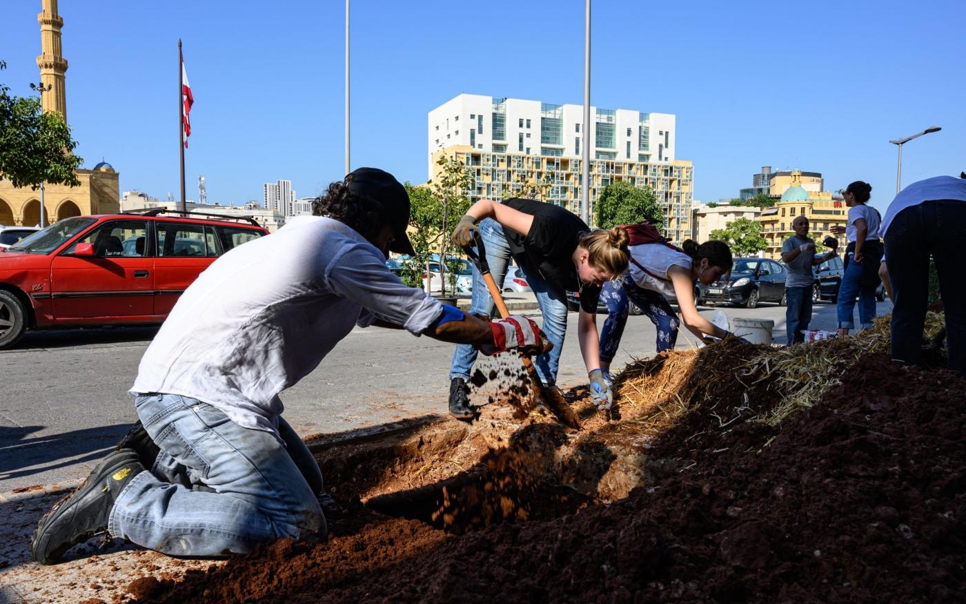 Opération de reboisement de volontaires libanais en novembre 2019