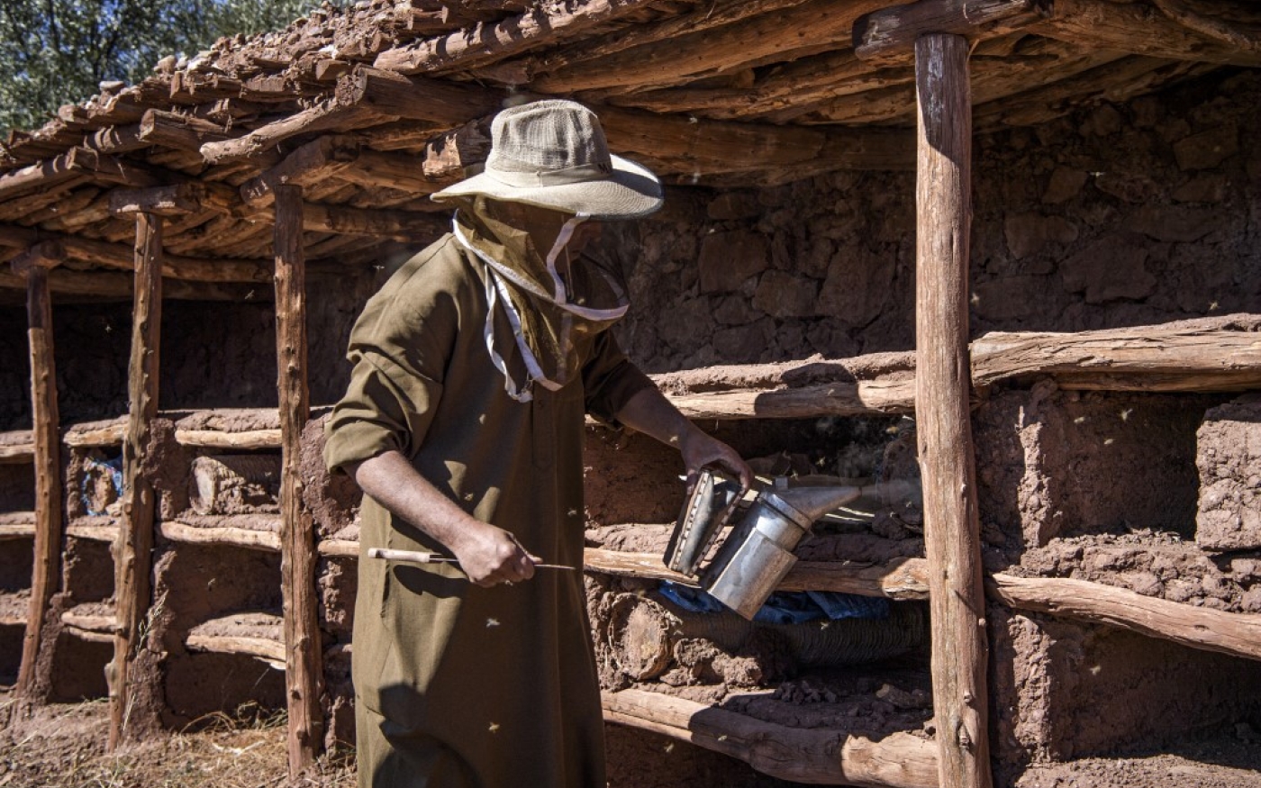 Un apiculteur travaille dans le rucher d’Inzerki, au sud-ouest du Maroc (AFP/Fadel Senna)
