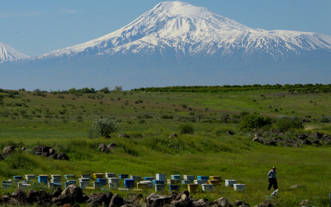 Un apiculteur passe devant ses ruches installées dans une vallée de la province arménienne de Kotayk, avec le mont Ararat en arrière-plan (AFP/Karen Minasyan)