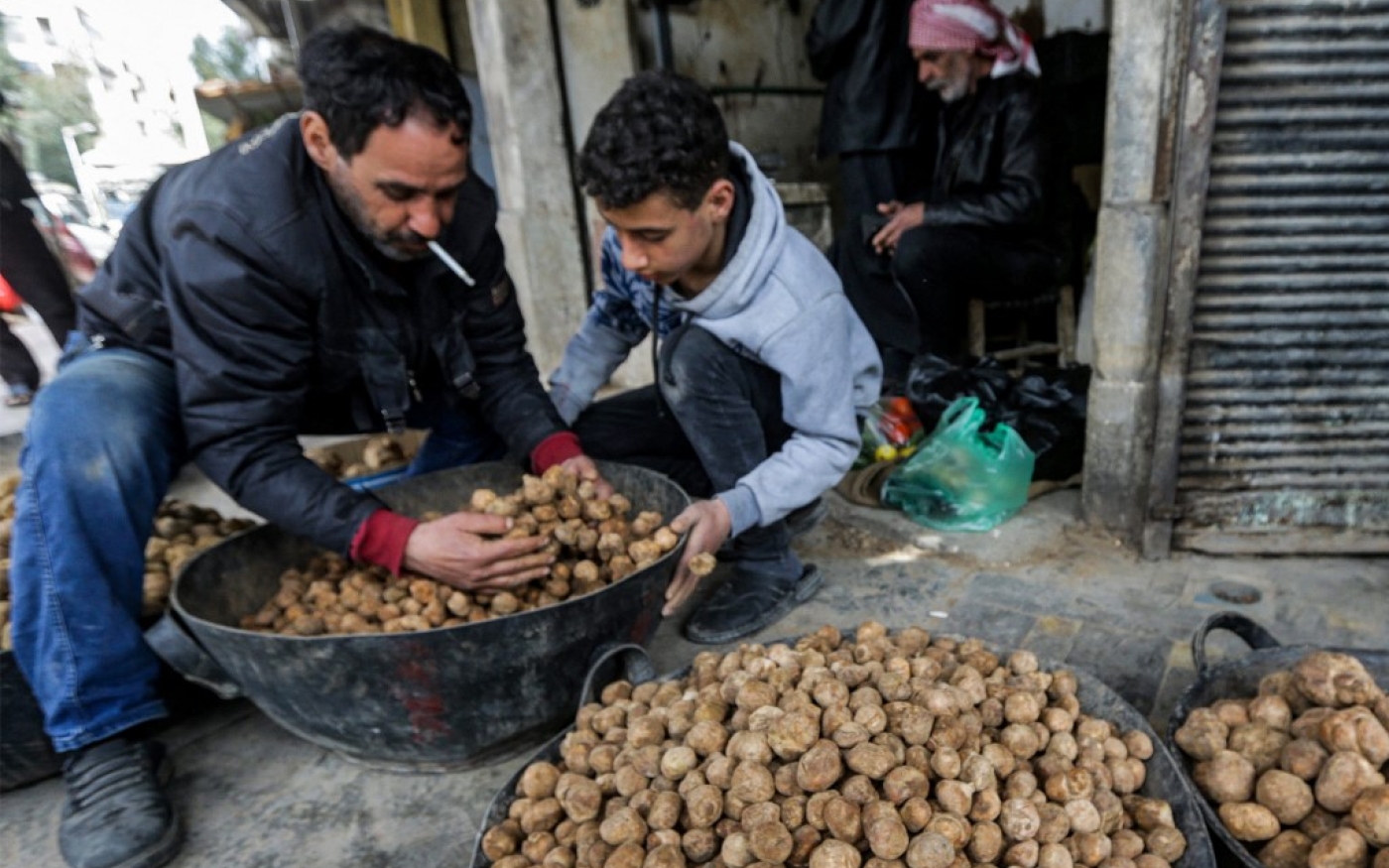 Des marchands trient des truffes du désert dans un marché de la ville de Hama, dans le centre-ouest de la Syrie, le 6 mars 2023 (AFP/Louai Beshara)