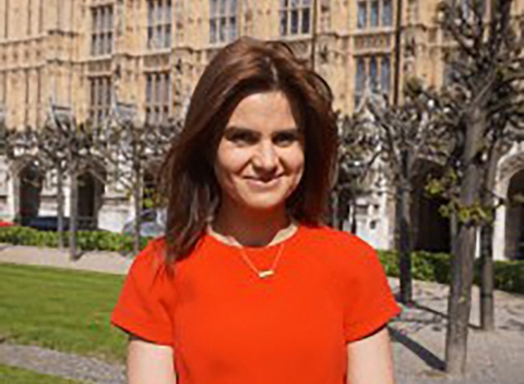 An undated handout picture taken from the website of Labour MP Jo Cox on June 16, 2016 shows Labour MP Jo Cox posing outside the Houses of Parliament in London (AFP)