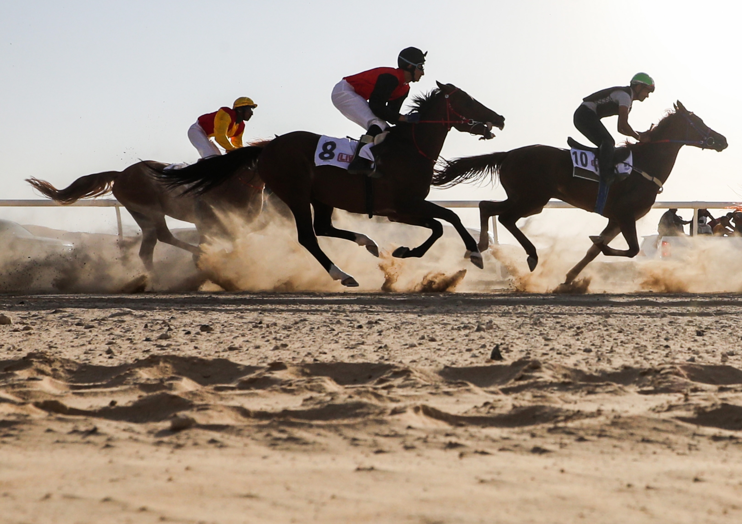 Entries for this race were restricted to purebred Arab horses at the race track, 250 kilometres west of Abu Dhabi (AFP)