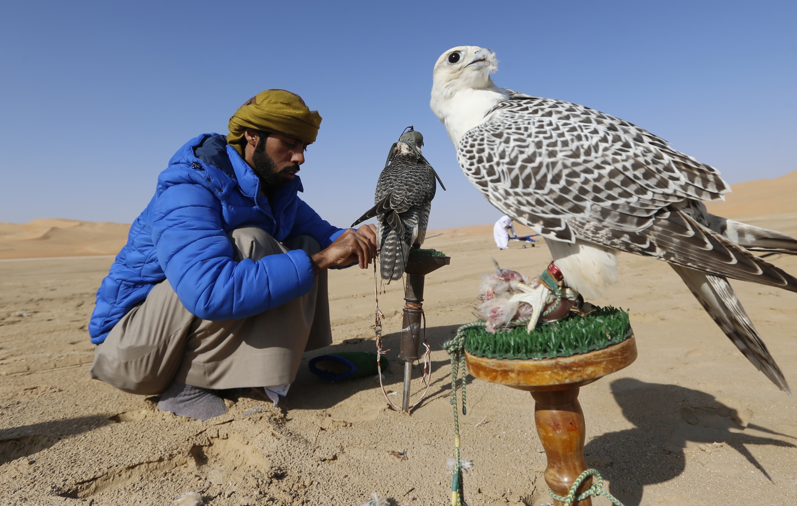 Falconry – which can be traced back nearly 3,000 years to Nineveh and Babylon – also attracts keen interest at the festival. The UAE numbers some of the most competitive falconers in the world – and features a falcon on its crest (AFP)