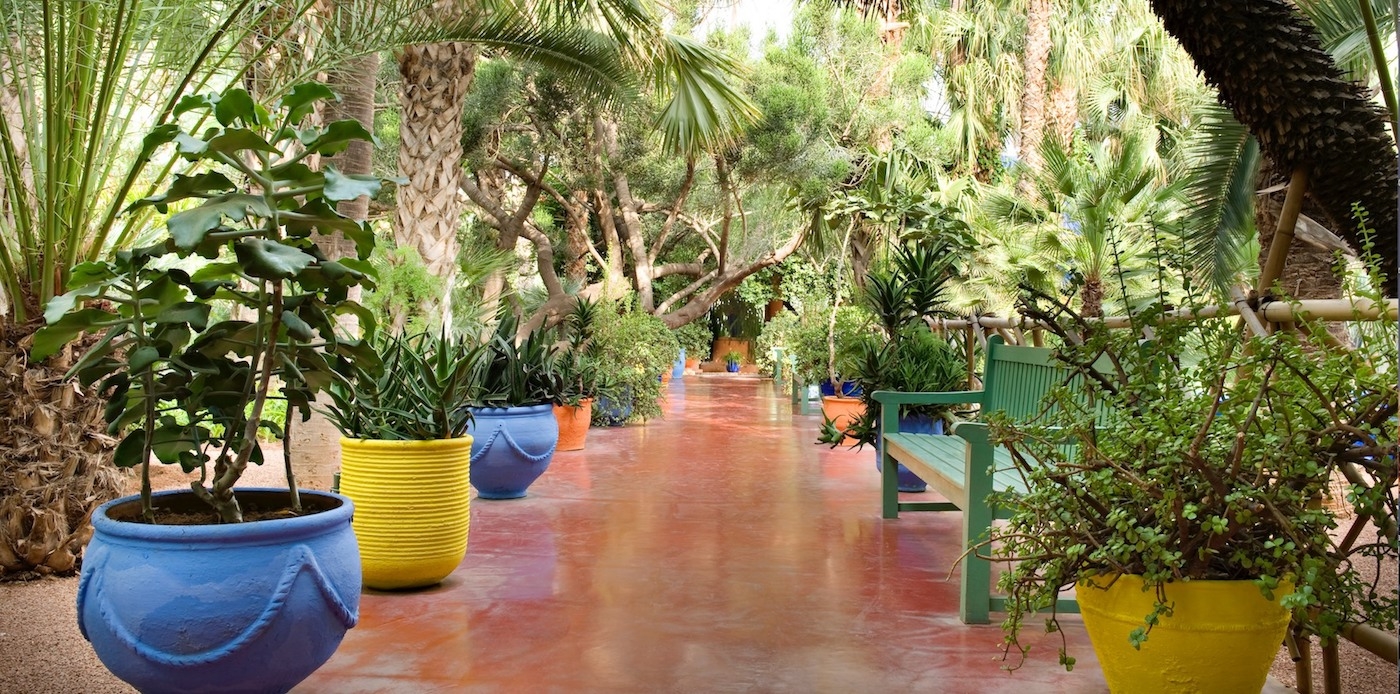 Le jardin Majorelle à Marrakech (Facebook/@jardinmajorelleofficiel)