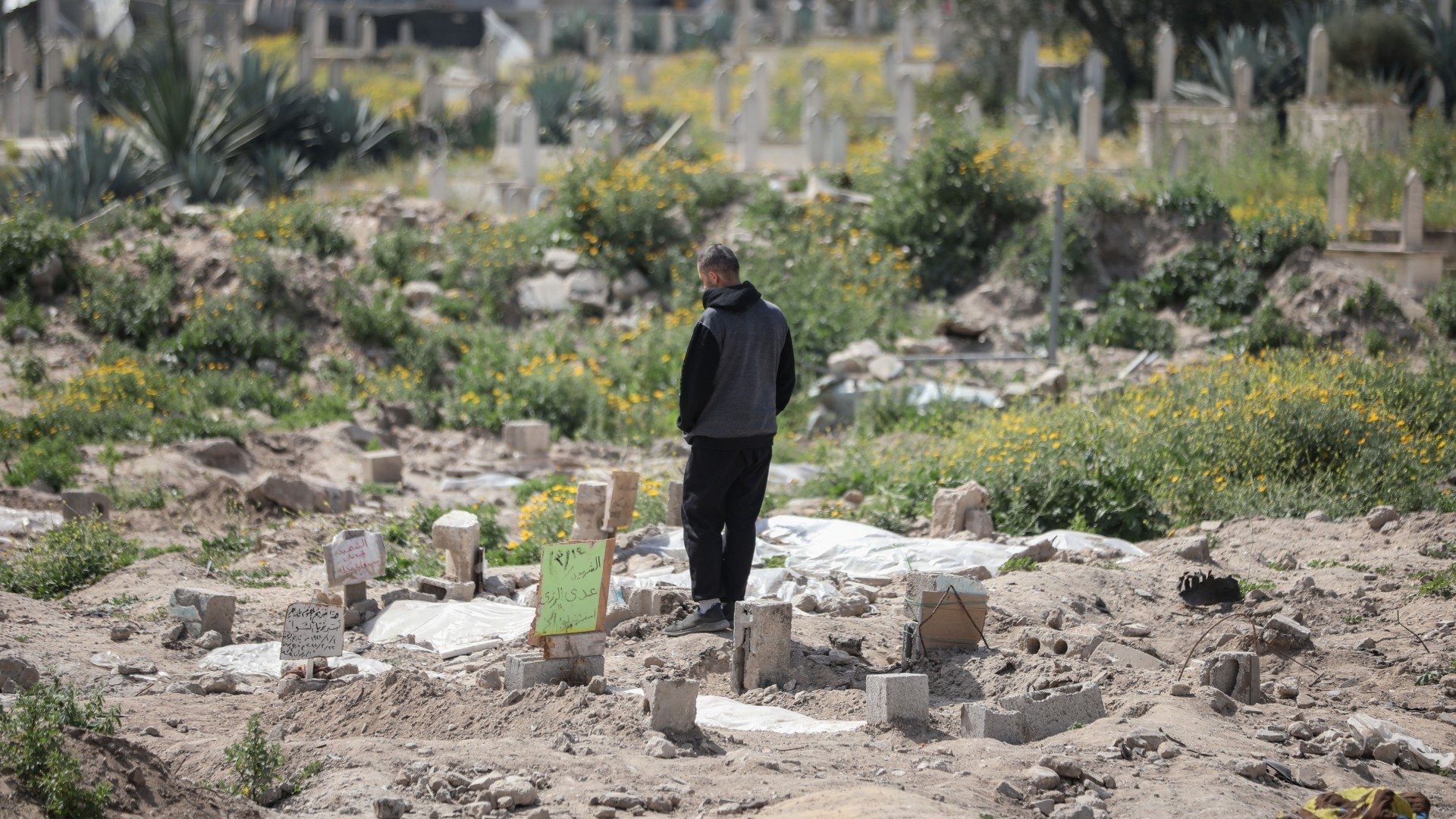 Israel has killed more than 33,000 Palestinians, more than two thirds of them women and children. In this photo, a Palestinian man walk through a cemetery in Gaza City to find the resting places of his loved ones (MEE/Mohammed al-Hajjar)