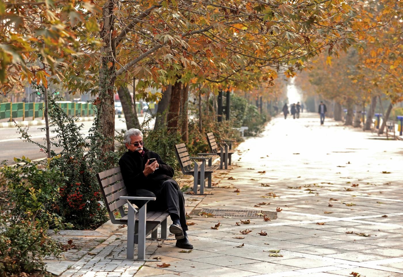 Un Iranien regarde son téléphone dans un parc de la capitale, Téhéran, le 27 novembre 2019 (AFP)