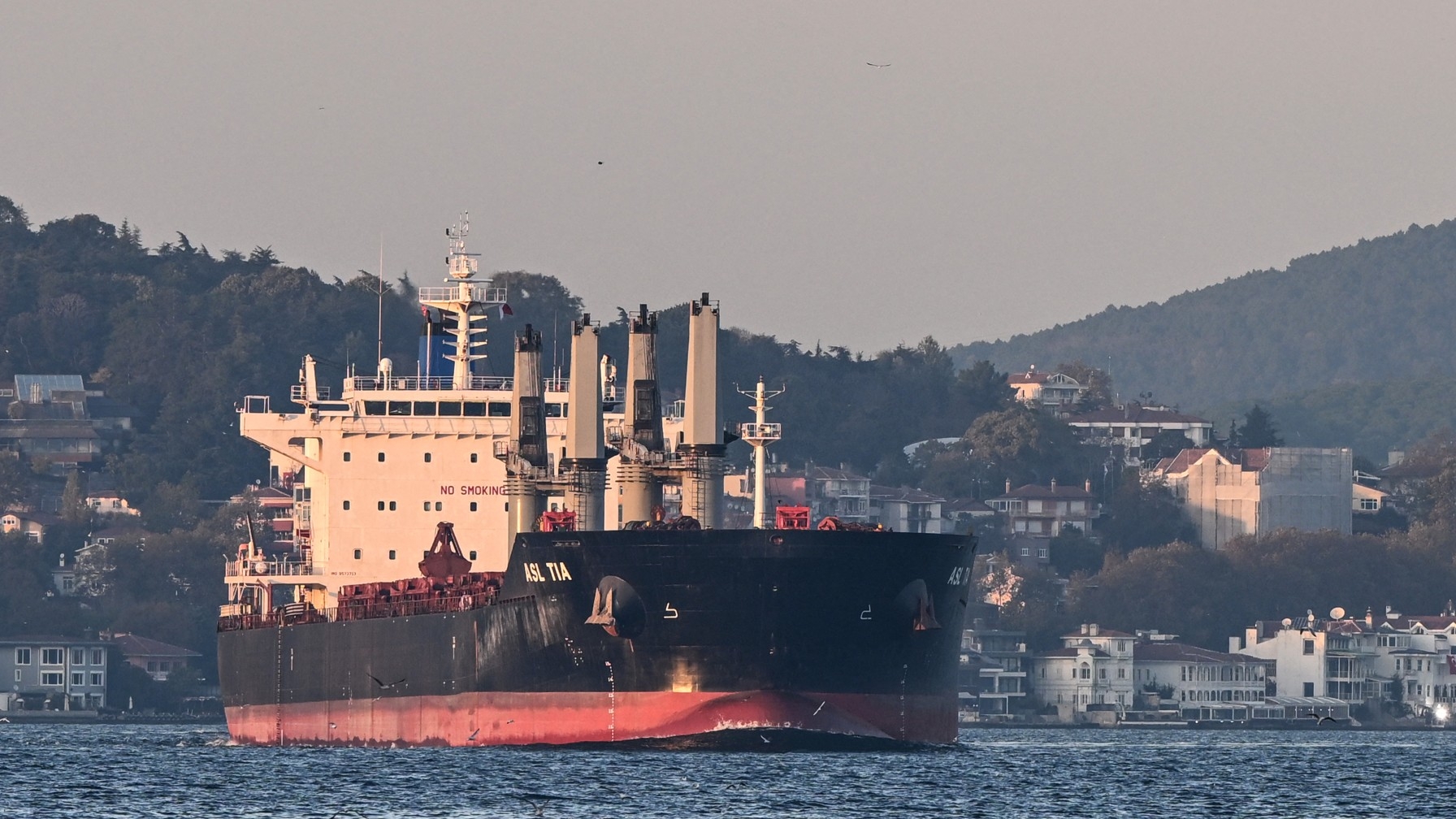 Asl Tia, a cargo vessel carrying Ukrainian grain, sails on Bosphorus to Marmara sea, in Istanbul, on 2 November (AFP)