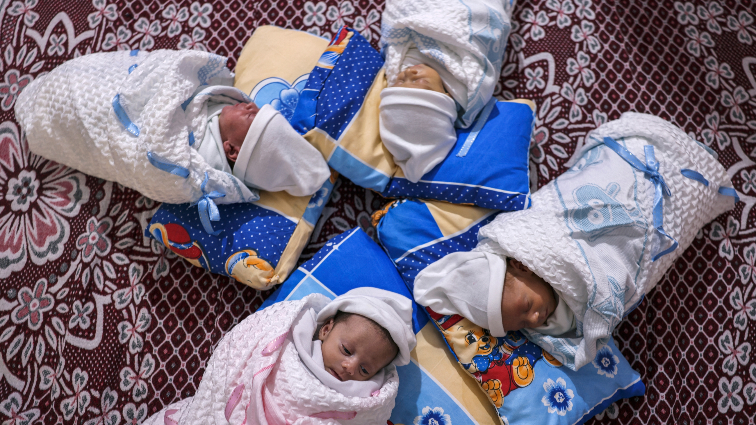 Newborn Palestinian quadruplets, conceived with smuggled sperm from their father imprisoned in Israel, are laid on a bed at their home in Gaza city, on 13 June 2023 (AFP)