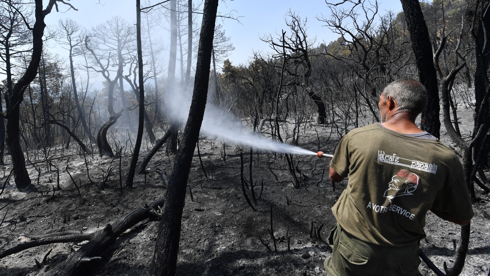 A man sprays water on burned trees to cool them down following a fire, in a forest in Melloula near Tabarka at the northwestern Tunisian border with Algeria, on 20 July (AFP)