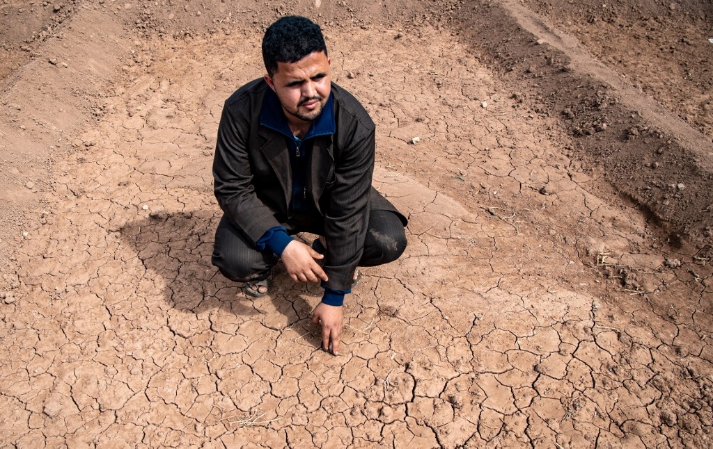 Dans un pays où le secteur agricole constitue le premier contributeur au Produit intérieur brut (14 %), la sécheresse s’annonce comme un désastre (AFP/Fadel Senna)
