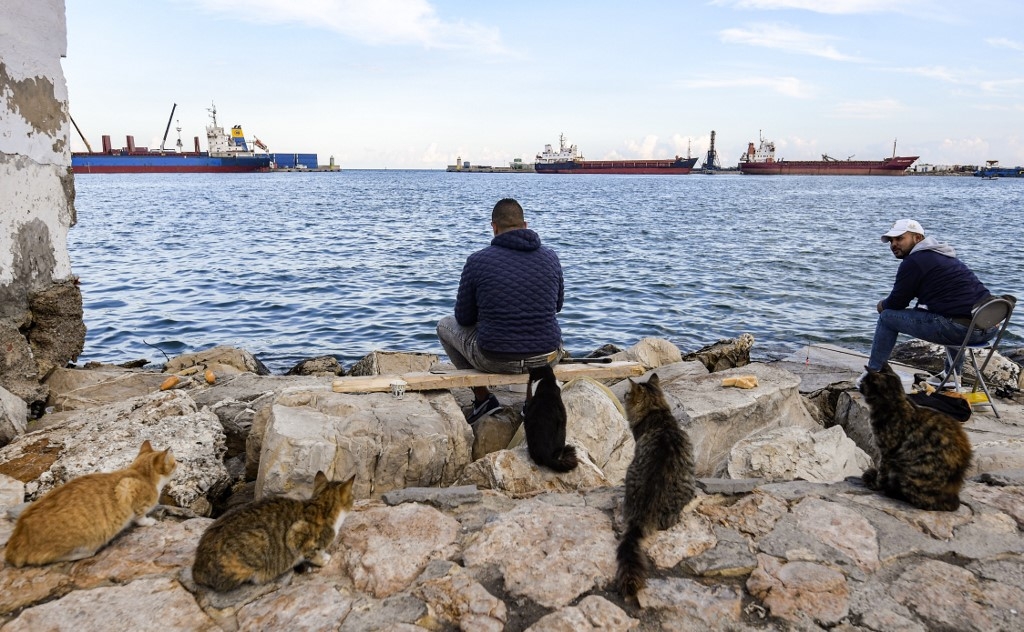 Des chats attendent derrière des pêcheurs, dans le port de Sousse, à environ 140 kilomètres au sud de Tunis, le 26 novembre 2020, où les douaniers tunisiens ont saisi 70 conteneurs d’expédition de déchets au début de l’été, rapidement suivis de 212 autres conteneurs (AFP)