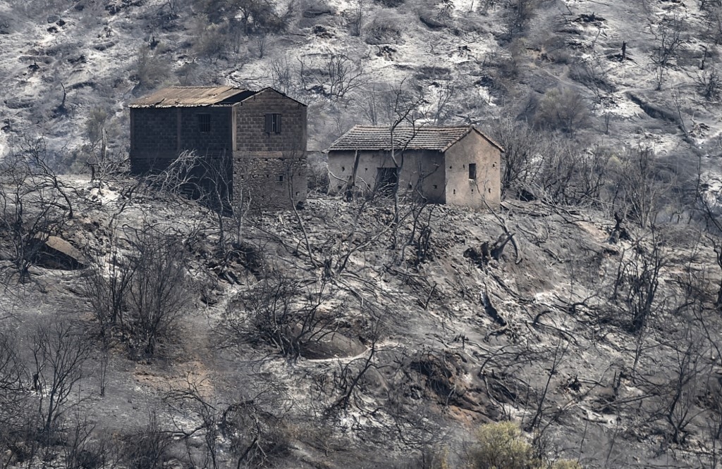 « Nous avons l’habitude des feux de forêts, mais ces feux sont différents et surprenants », témoignent les habitants des zones sinistrées (AFP/Ryad Kramdi)