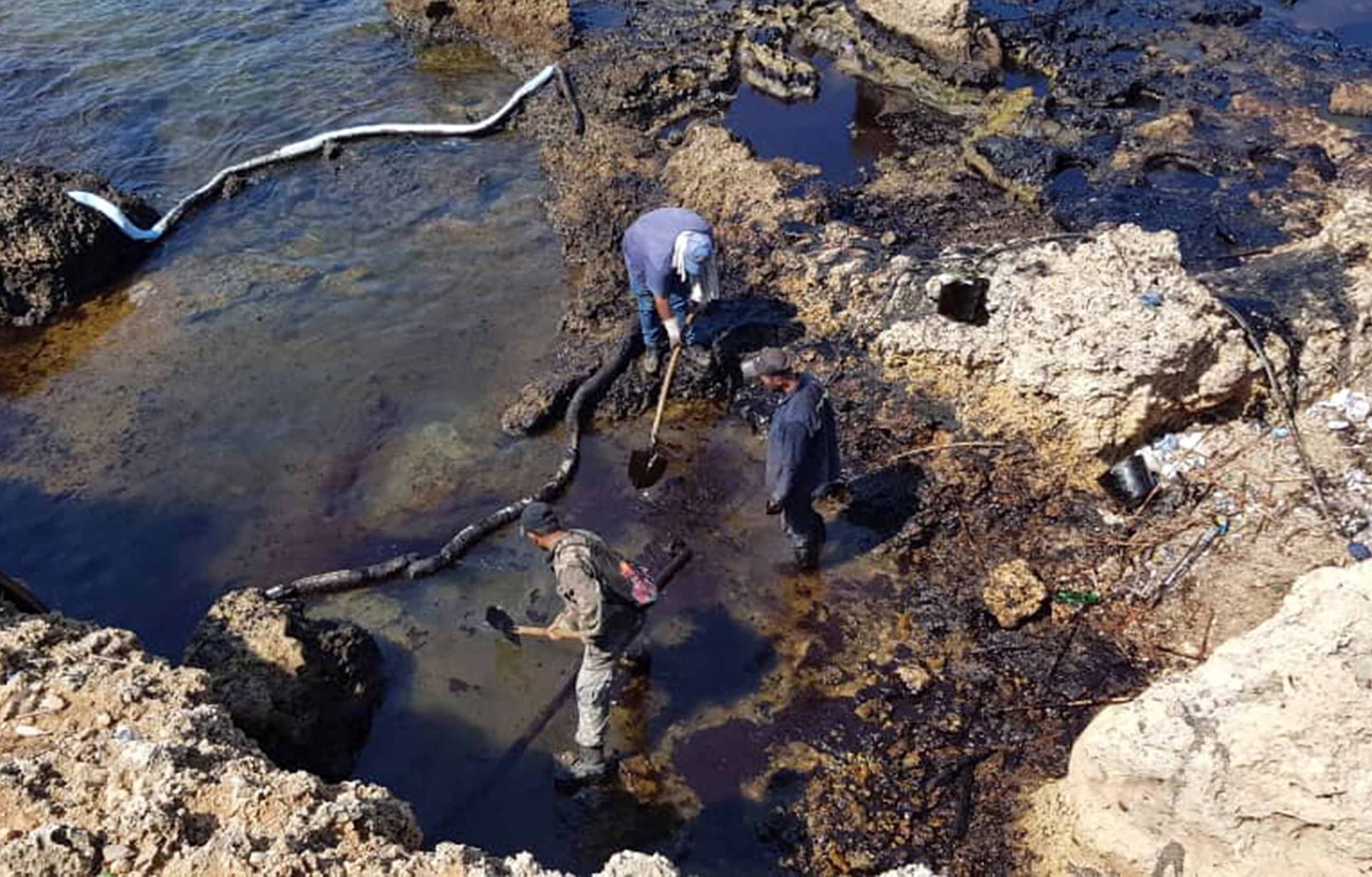 People cleaning Syria's Mediterranean coast following an oil leak from the Baniyas power plant
