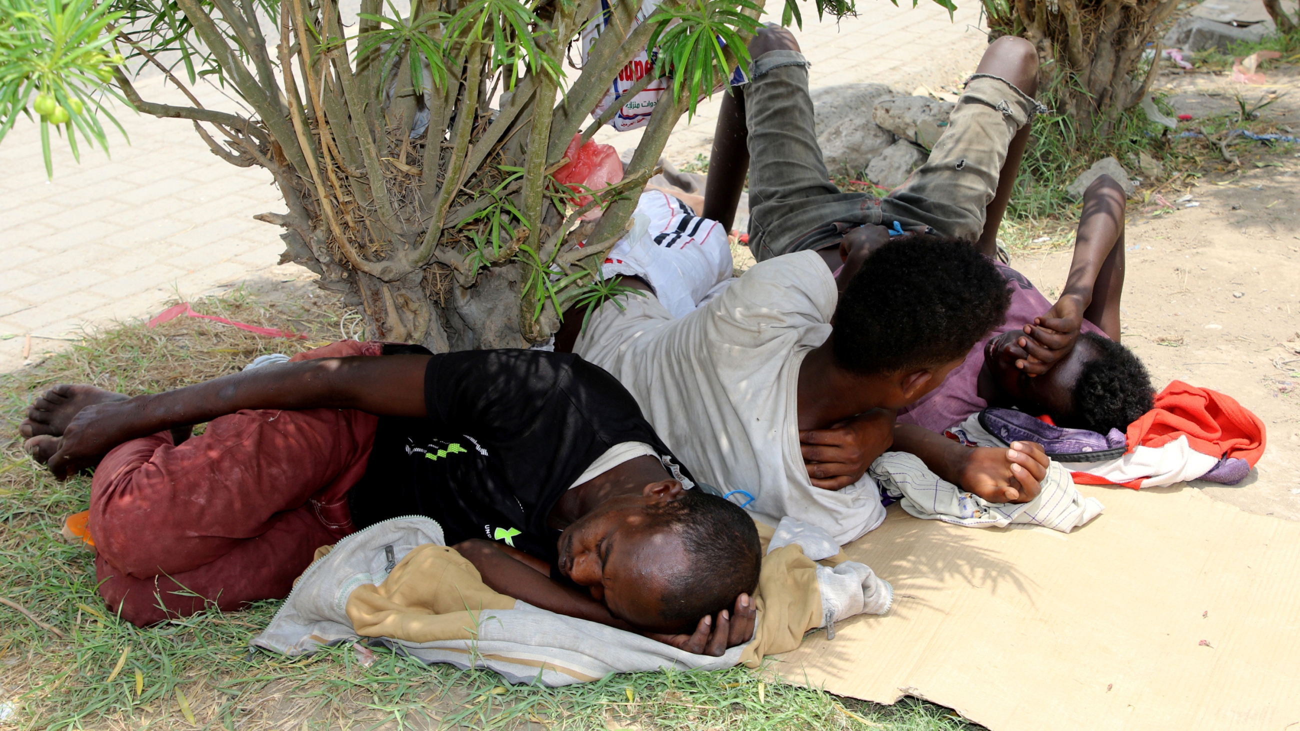 Ethiopian migrants sleep under trees in the southern port city of Aden, Yemen 31 July 2019 (Reuters)