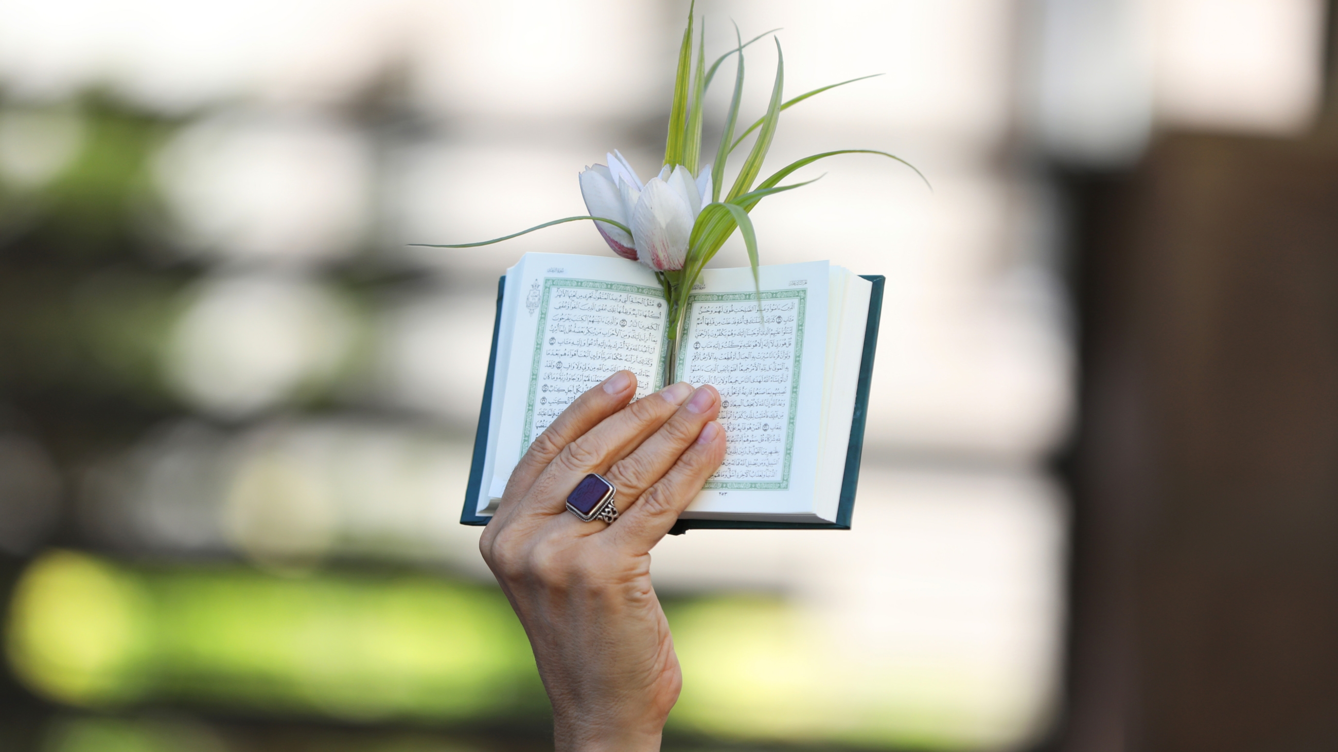 An Iranian demonstrator holds up a copy of Quran during a protest of the burning of a Quran in Sweden in front of the Swedish Embassy in Tehran 30 June 2023 (Sipa USA via Reuters)