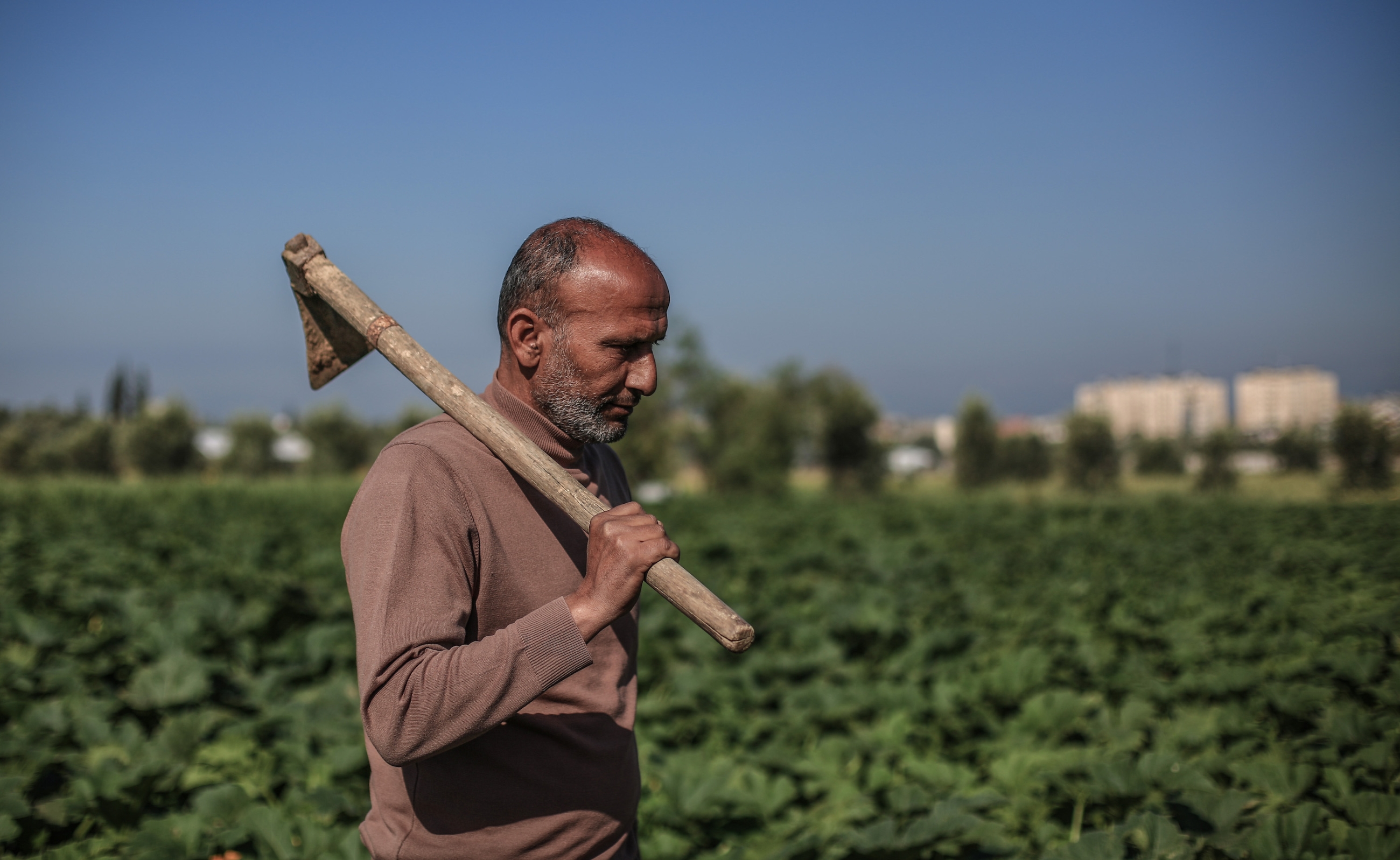 Gaza farmer working on land MEE