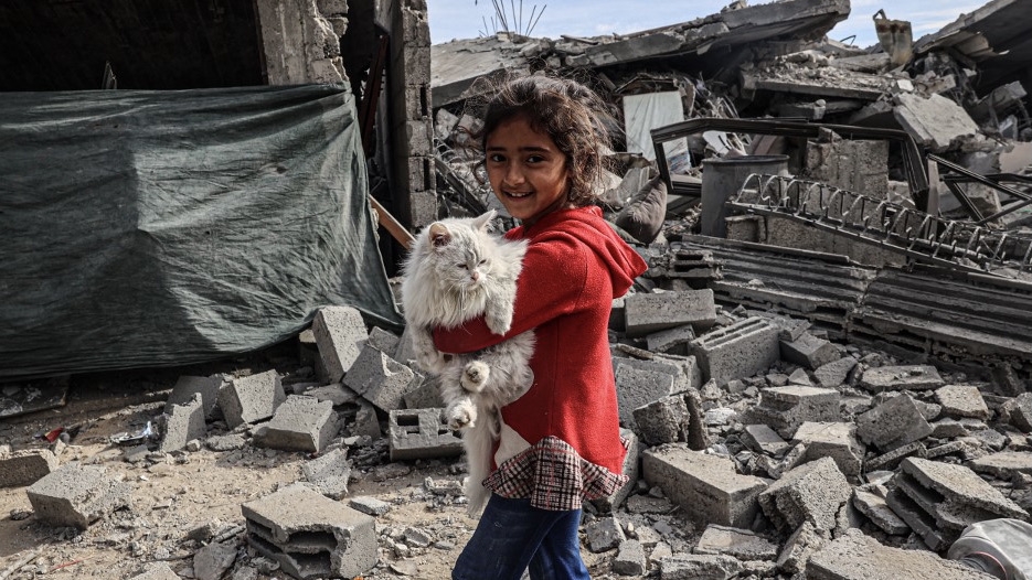 A Palestinian child carries a cat in the rubble of damaged buildings following Israeli bombardment in Rafah, on the southern Gaza Strip, 12 February 2024 (Said Khatib/AFP)
