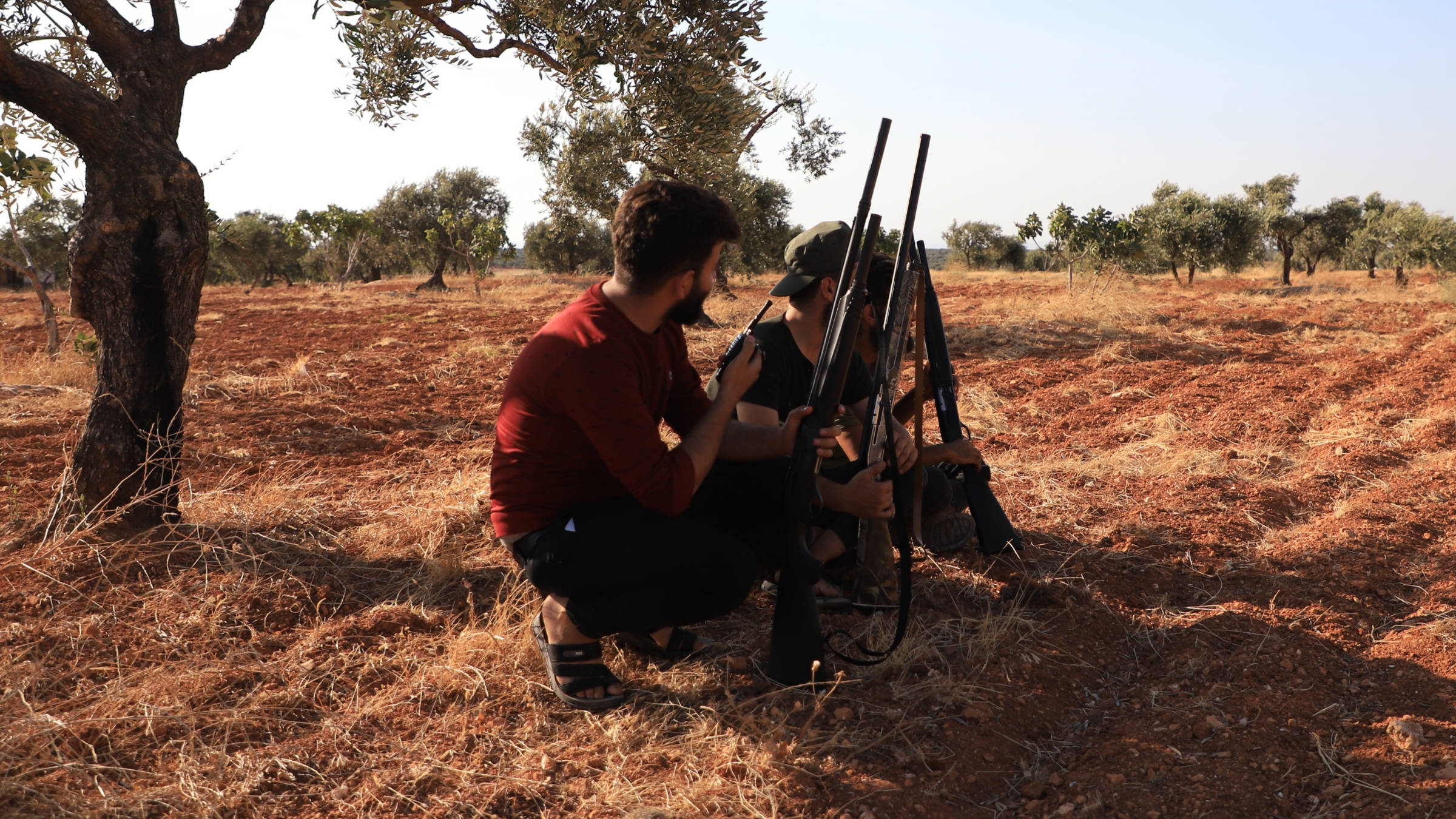 Young men hide under olive trees in al-Nayrab village, monitoring the sky for drones (Abd Almajed Alkarh/MEE)