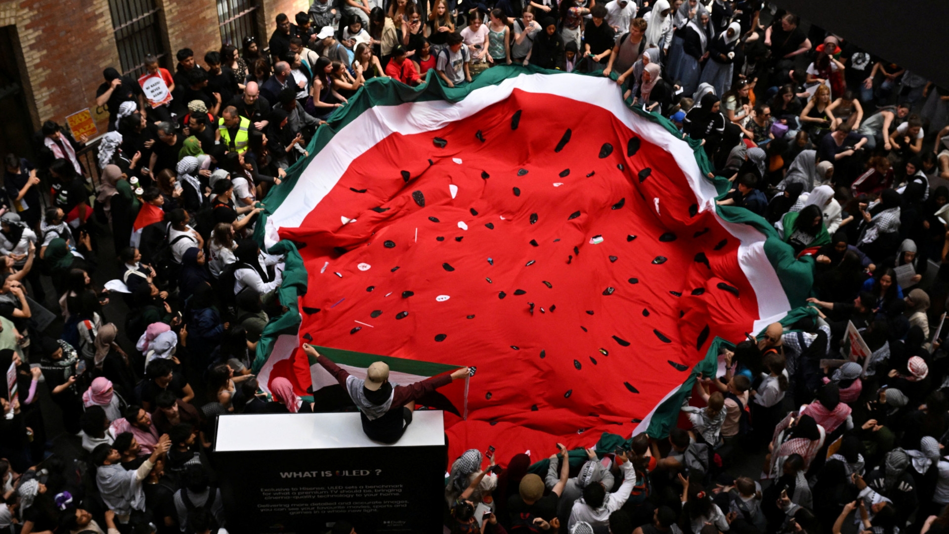 Protesters hold up a watermelon flag, which has come to represent one Arab state (AFP)