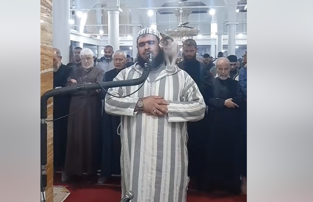 L’imam algérien Walid Mahsas est resté imperturbable et a même caressé le chat venu l’importuner gentillement durant la prière (Capture d’écran) 