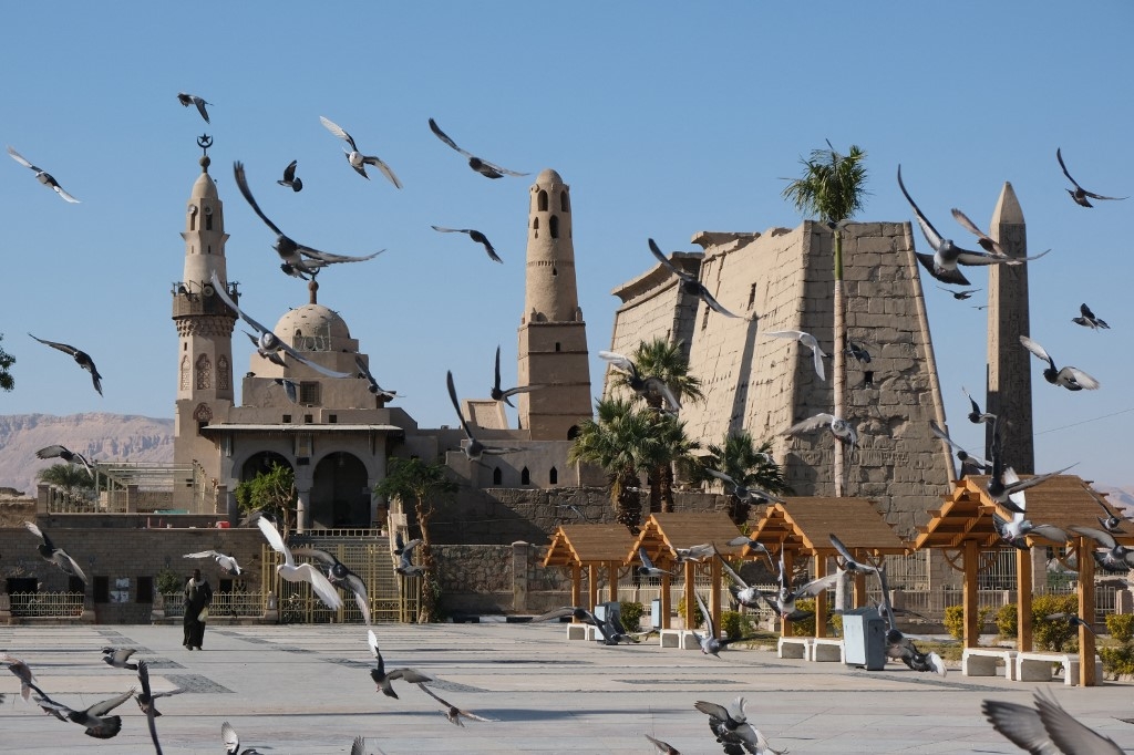 Pigeons fly in the square outside the Luxor Temple and al-Haggag Mosque in Egypt's southern city of Luxor on 20 January, 2022 (AFP)