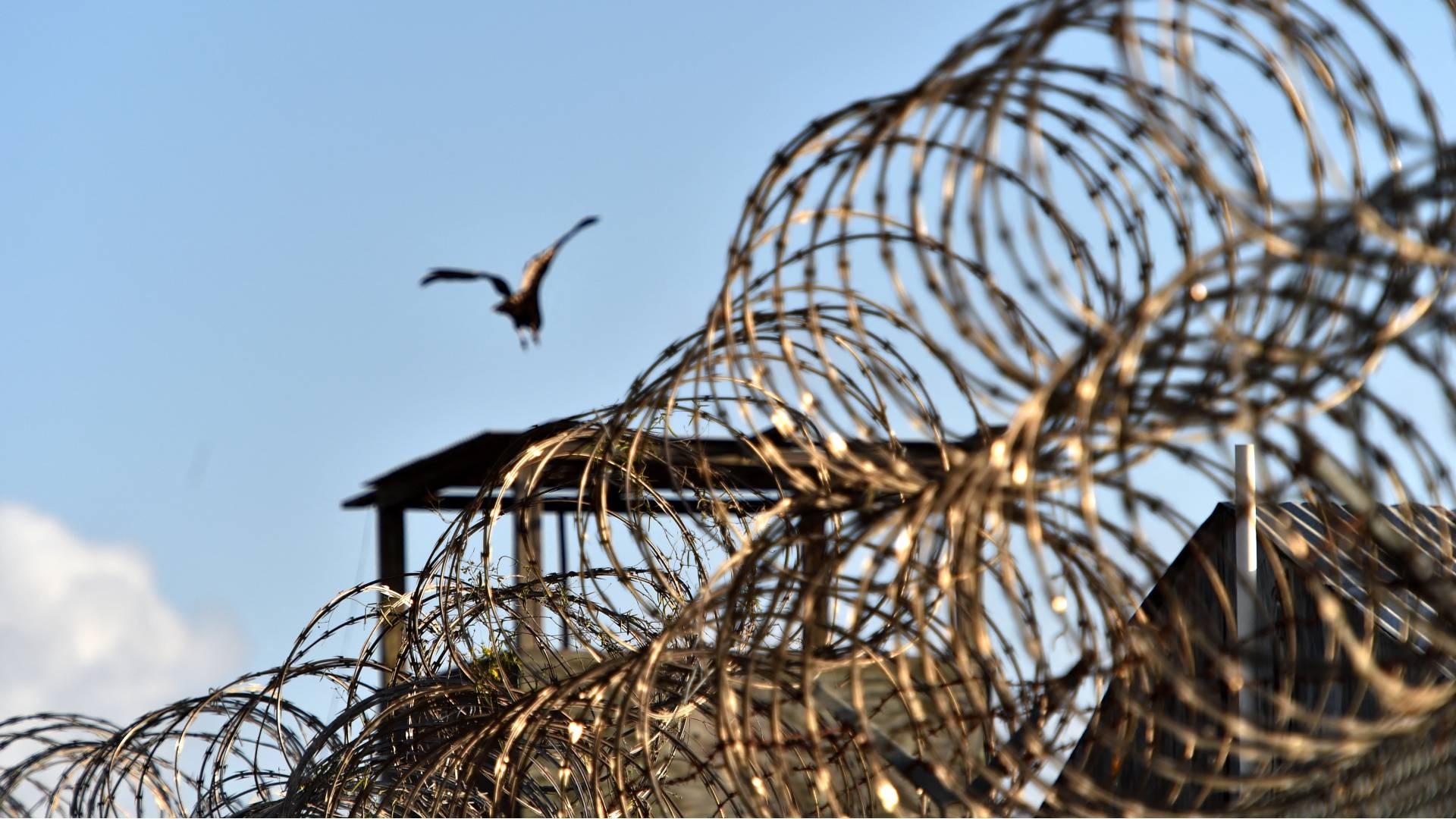 Around $540m of US taxpayer money is spent each year to hold the prisoners at Guantanamo.