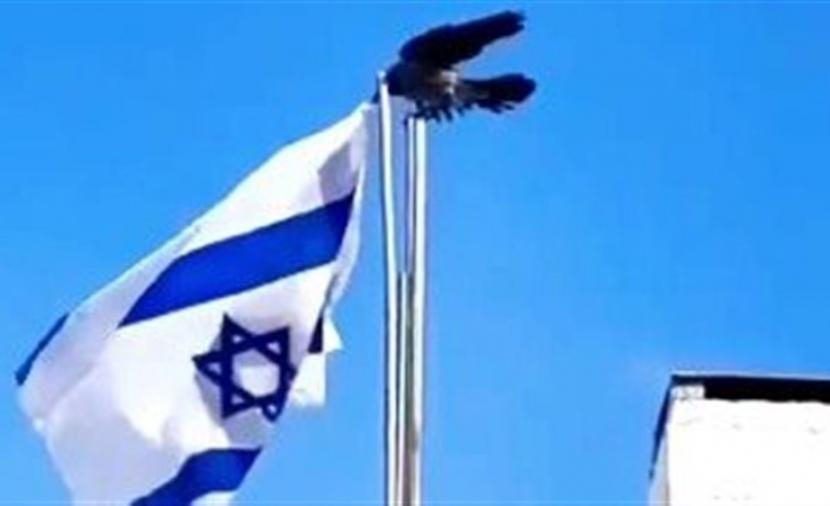 Des internautes ont publié d’autres vidéos sur des cas d’oiseaux s’attaquant au drapeau d’Israël (capture d’écran)