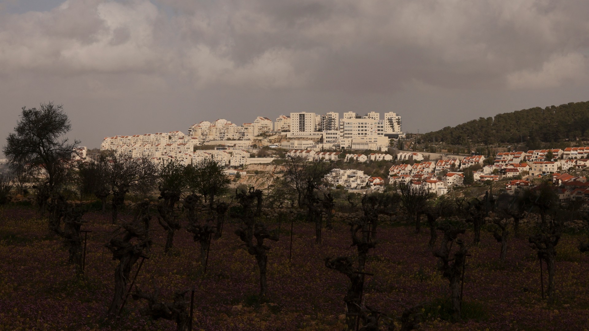 The Israeli settlement of Efrata built on the land of the Palestinian town of Al-Khader in Bethlehem in the occupied West Bank on 6 March 2024 (AFP/Hazem Bader)