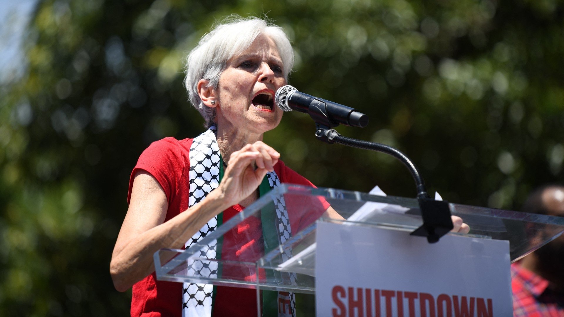 Green Party presidential candidate Jill Stein speaks at a Pro-Palestinian protest in front of the White House on 8 June 2024 in Washington DC.