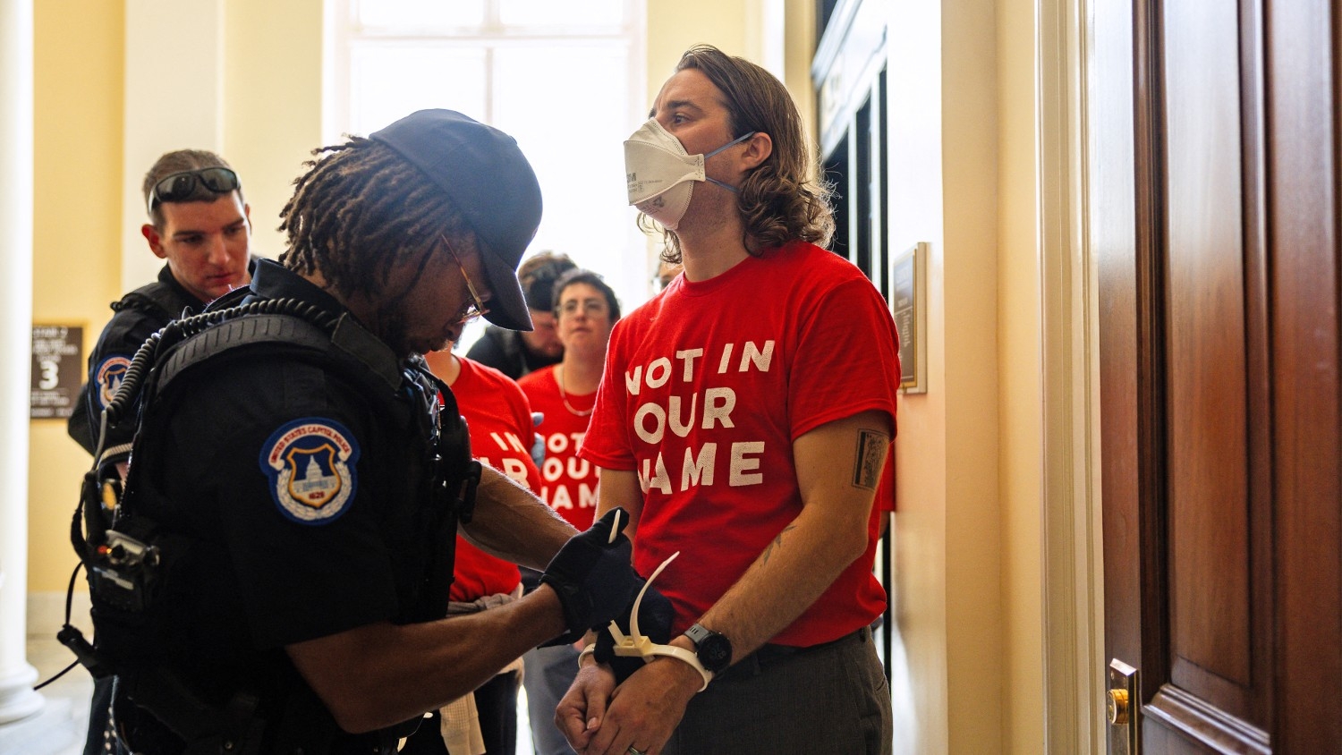 Demonstrators from Jewish Voice For Peace are taken into custody as they protest Israel's war in Gaza at the Canon House Building on 23 July 2024 in Washington, DC.