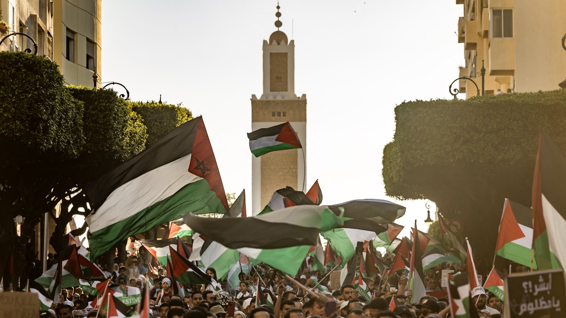 Moroccans wave Palestinian flags during a march in solidarity with the people of Gaza in the Moroccan city of Tangier on 7 July, 2024 (Fadel Senna/AFP)