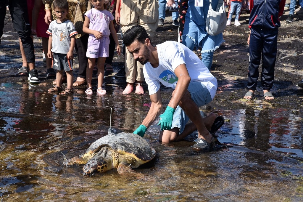 Depuis la création du centre à l’été 2021, près de 80 tortues y ont été traitées avant d’être relâchées en mer (AFP/Imed Haddad)