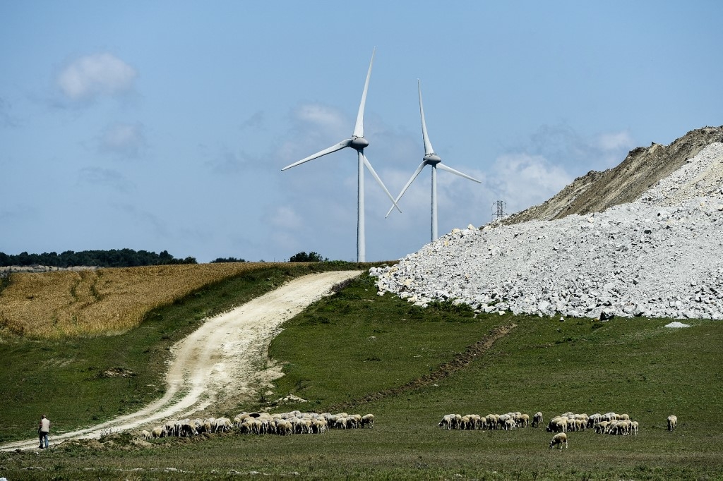 Sheep graze on June 12, 2018, at the small coastal village of Karaburun, near Istanbul near the windmills (AFP)
