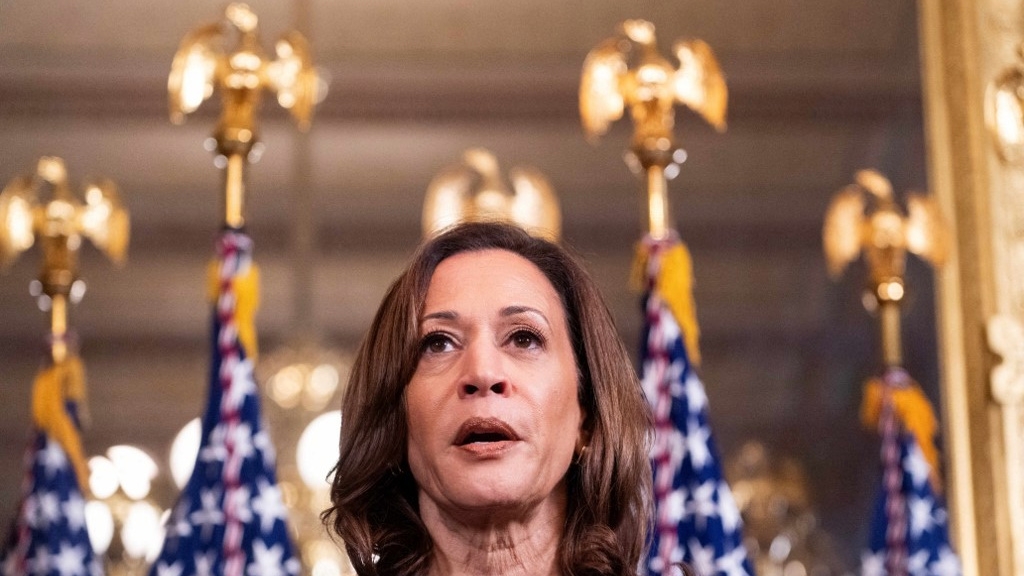 US Vice President Kamala Harris speaks to the media after meeting Israeli Prime Minister Benjamin Netanyahu in Washington on 25 July 2024 (Roberto Schmidt/AFP)