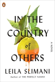 In the Country of Others, by Leila Slimani