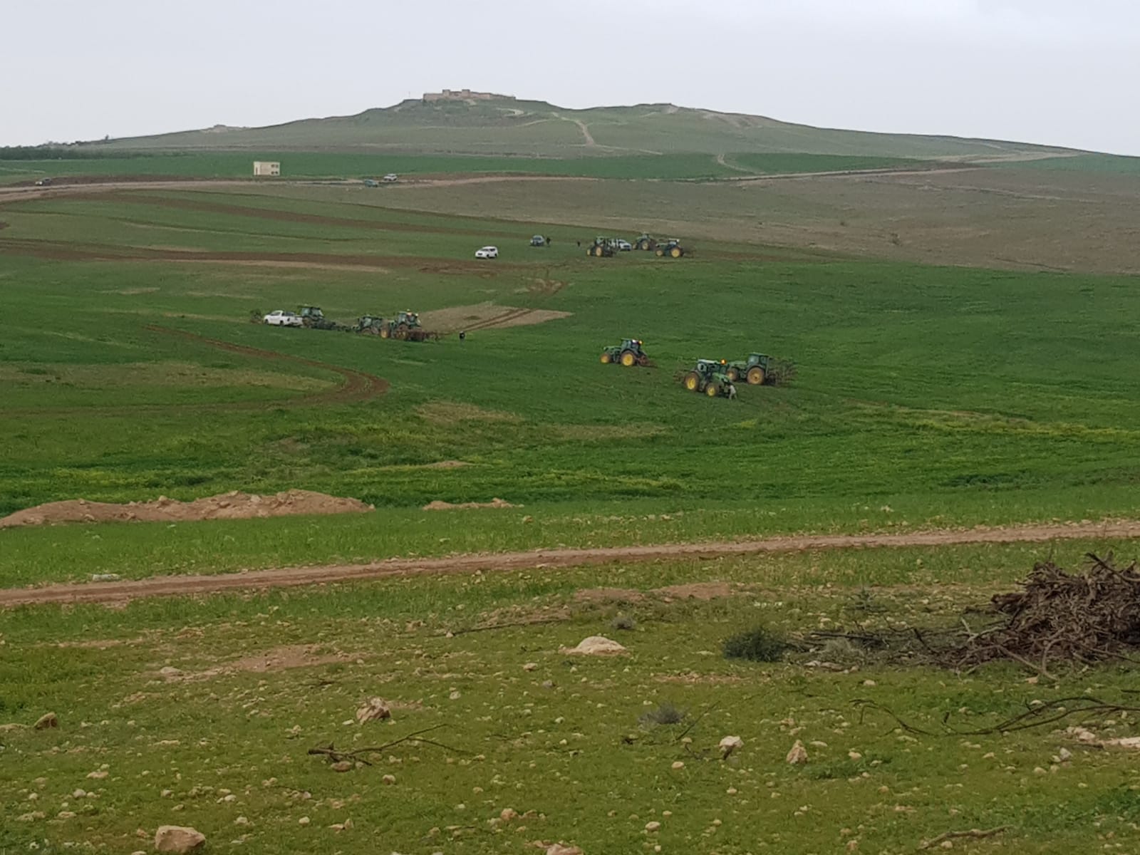 Des tracteurs arrivent à Tel Arad pour raser les récoltes mercredi 18 mars (MEE/Me’eqel Al Hawashla)